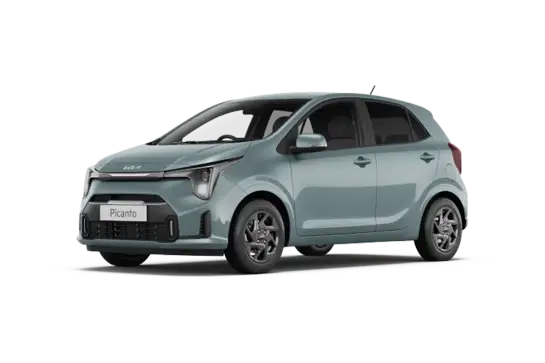 Standard Taxi Vehicle