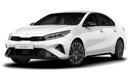 Standard Taxi Vehicle