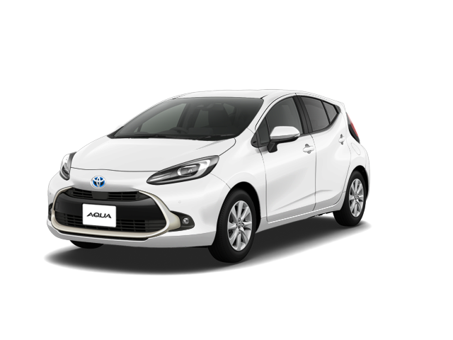 Standard Taxi Vehicle